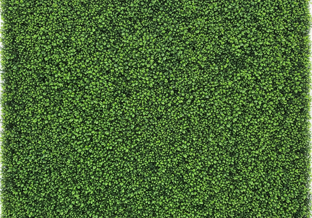 Green Hedge Wall