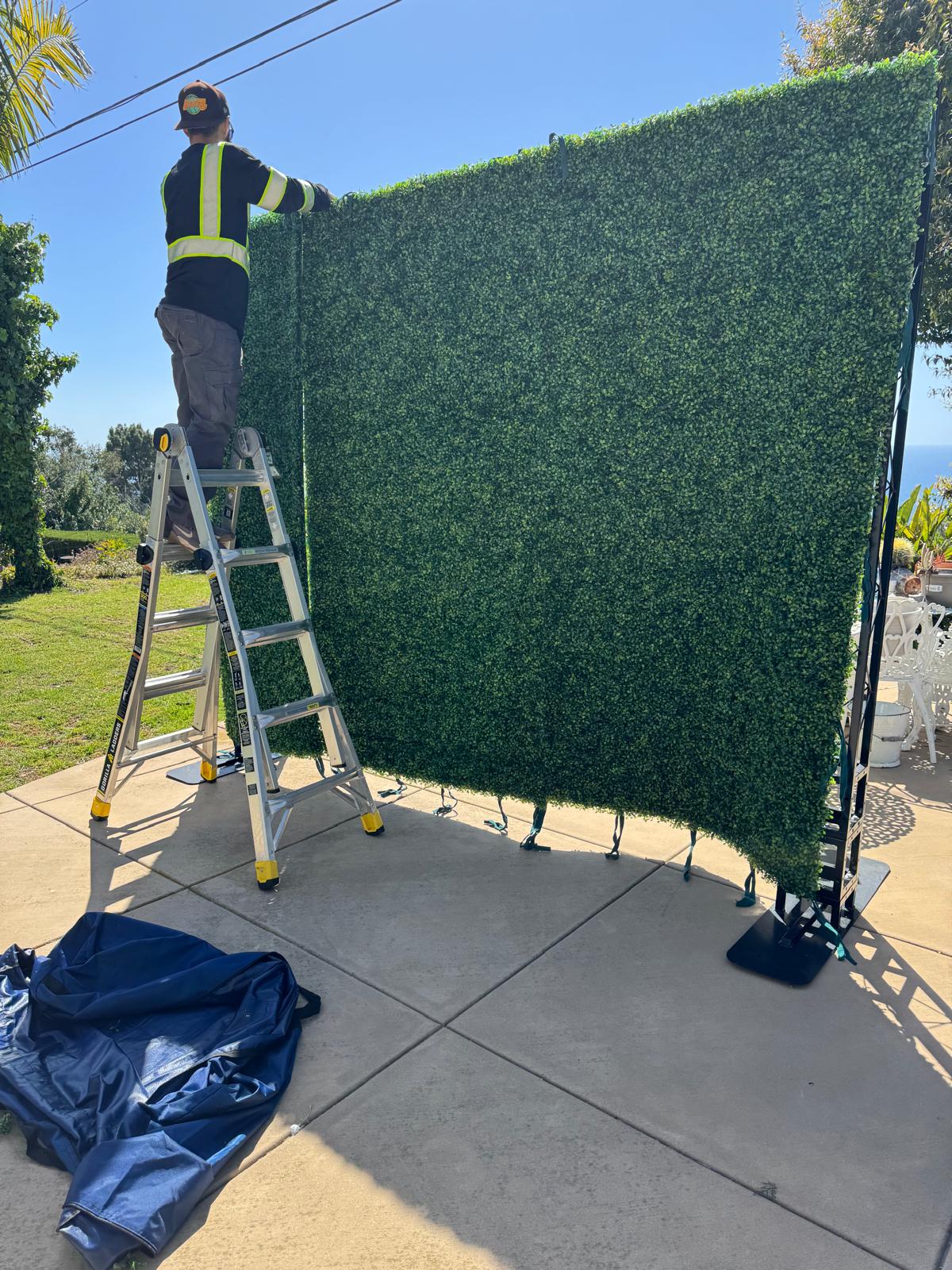 Green Hedge Wall