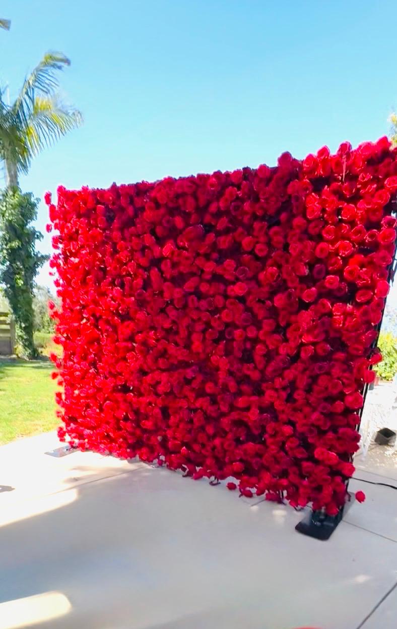 Red Rose Wall